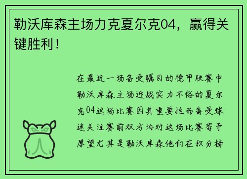 勒沃库森主场力克夏尔克04，赢得关键胜利！